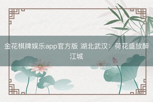 金花棋牌娱乐app官方版 湖北武汉：荷花盛放醉江城