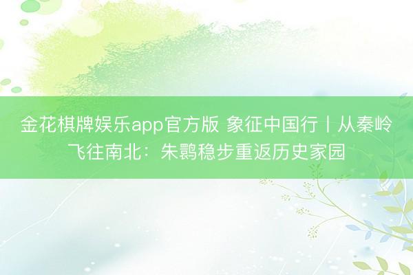 金花棋牌娱乐app官方版 象征中国行丨从秦岭飞往南北：朱鹮稳步重返历史家园
