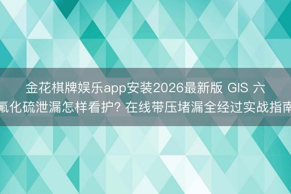 金花棋牌娱乐app安装2026最新版 GIS 六氟化硫泄漏怎样看护? 在线带压堵漏全经过实战指南